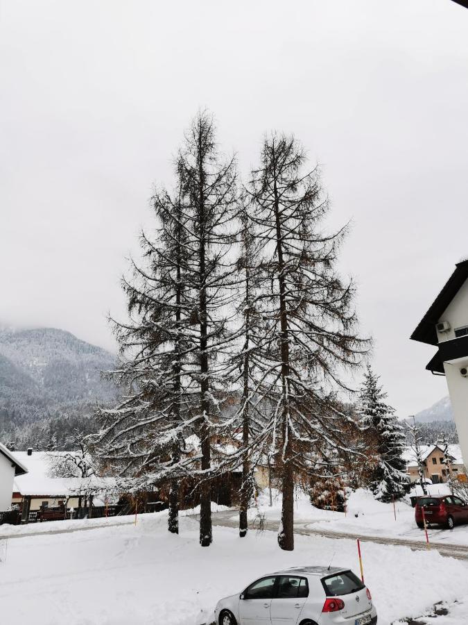 Apartma Kuhar Kranjska Gora Exterior foto
